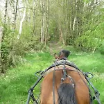 : La Cochetiere : Ancienne Ferme 18eme