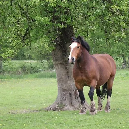 : La Cochetiere : Ancienne Ferme 18eme Prázdninový dům *