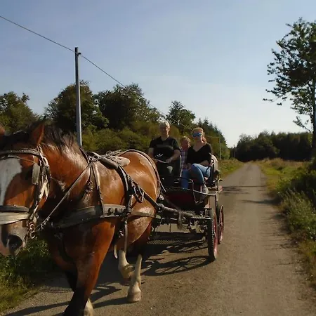 : La Cochetiere : Ancienne Ferme 18eme Prázdninový dům *