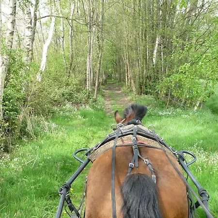: La Cochetiere : Ancienne Ferme 18eme