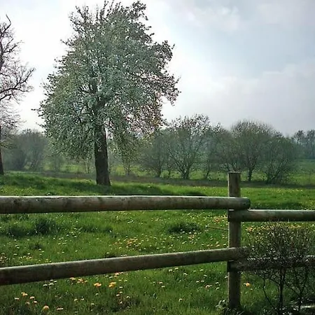 : La Cochetiere : Ancienne Ferme 18eme * Le Grais