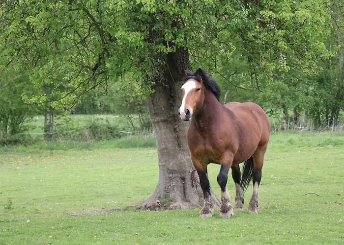 : La Cochetiere : Ancienne Ferme 18eme Prázdninový dům *