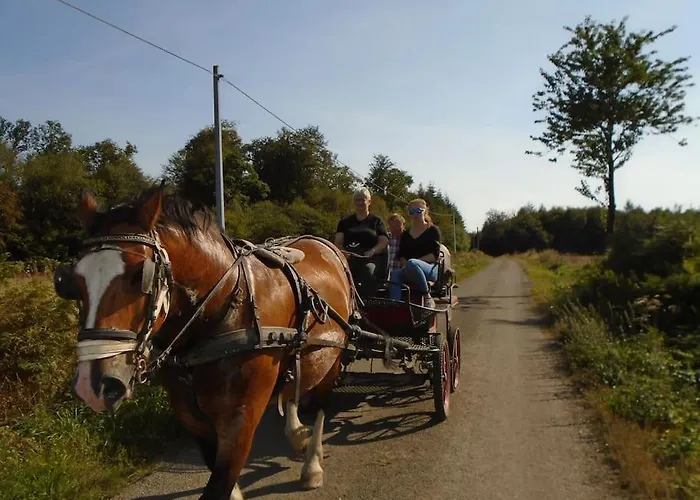 : La Cochetiere : Ancienne Ferme 18eme Prázdninový dům *