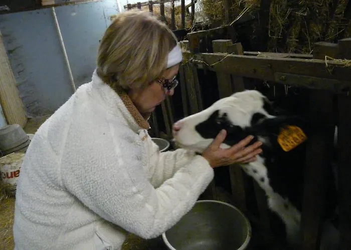 : La Cochetiere : Ancienne Ferme 18eme Prázdninový dům *